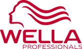 Wellan logo